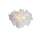 IQ2059 EVE RIBBON